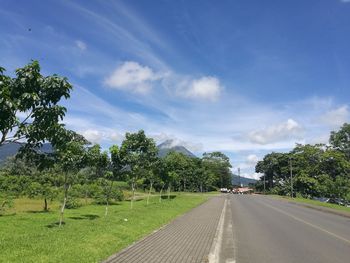 Country road along trees