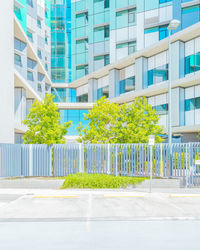 Trees by modern building in city