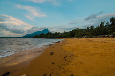 Scenic view of beach against sky