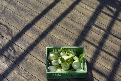 High angle view of fennel in crate on table