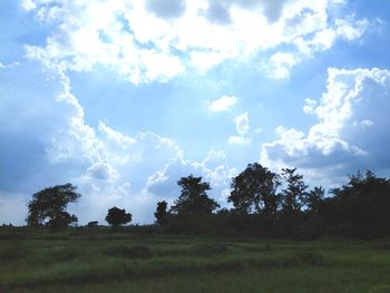 Trees on field against sky