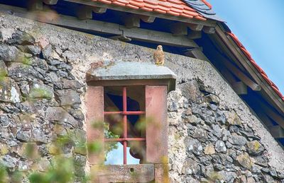 Low angle view of bird on house