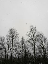 Silhouette trees against sky