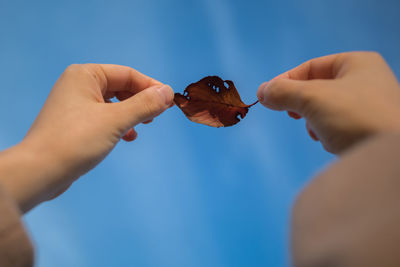 Close-up of cropped hands holding dry leaf