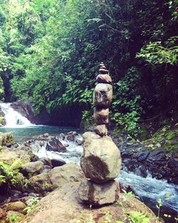 View of stone wall against trees