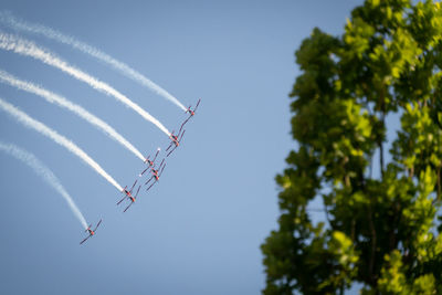 Low angle view of trees and pc7 against sky