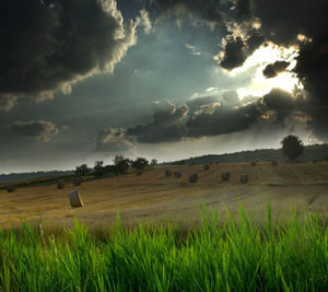 Scenic view of agricultural field against storm clouds