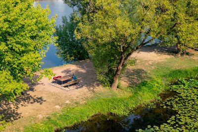 High angle view of river amidst trees in forest