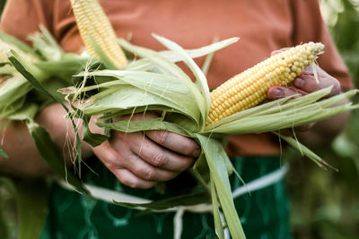 Close-up of woman holding corns