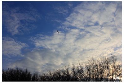 Low angle view of bare tree against cloudy sky