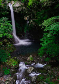 Scenic view of waterfall in forest