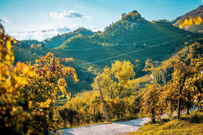 View of the conegliano valdobbiadene hills in autumn. the prosecco land