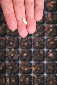 Close-up of hand