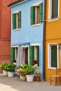 Blue and yellow house in burano, small houses on a venetian island, colourful houses, italy, flowers