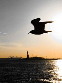 Silhouette bird flying over sea against sky