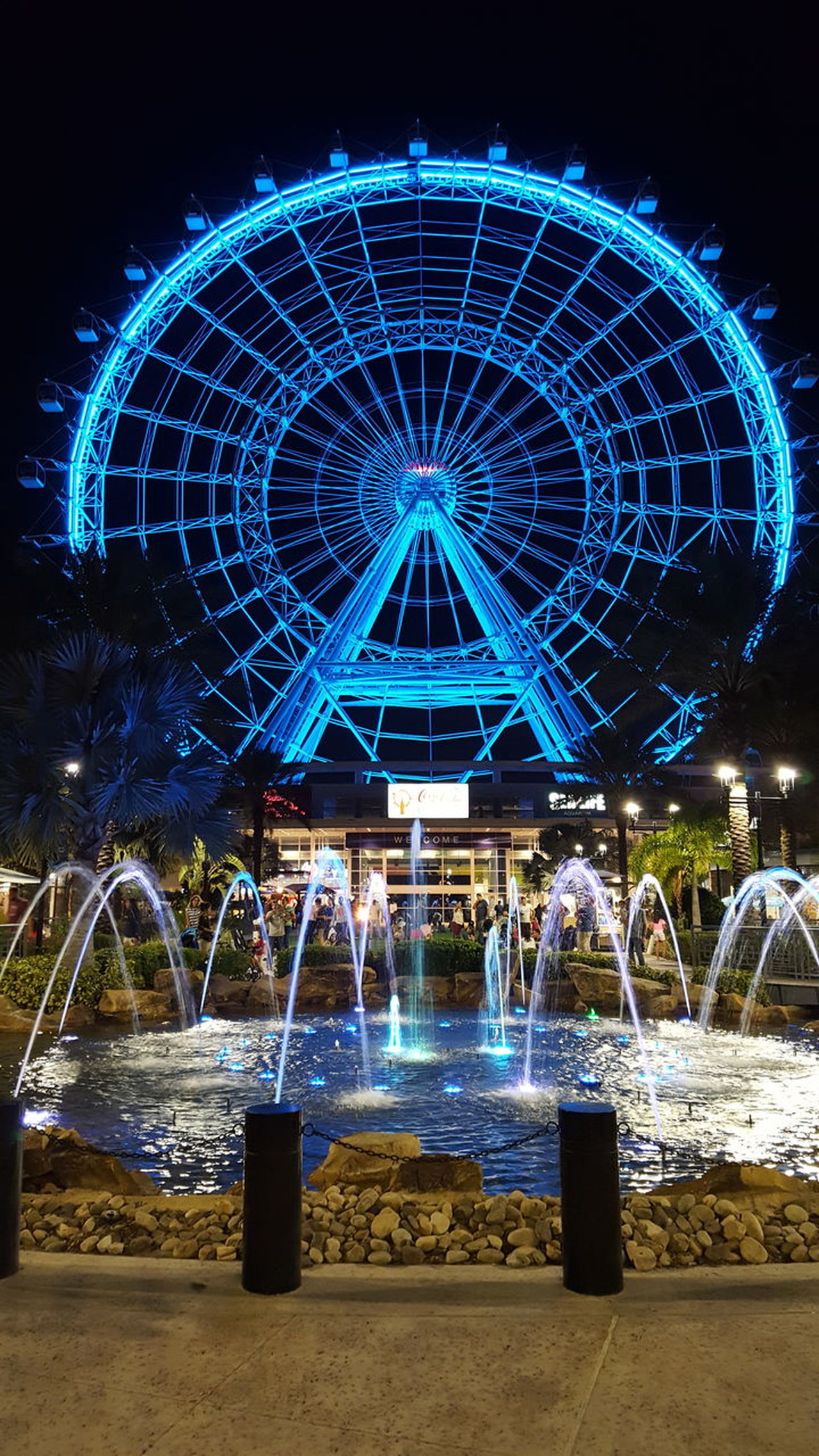 Theorlandoeye