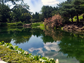 Scenic view of lake in forest against sky