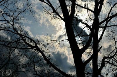 Low angle view of bare tree against cloudy sky