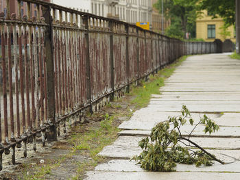 Footpath by railing