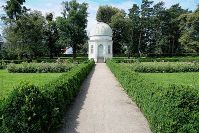 Footpath in garden