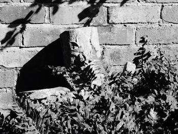 Close-up of shadow on brick wall