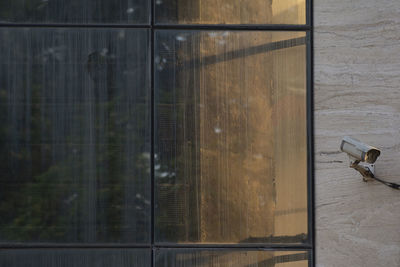Close-up of wooden door