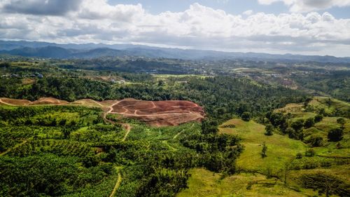 Scenic view of agricultural field against sky