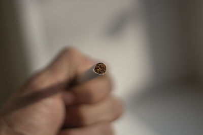 Close-up of hand holding cigarette against blurred background