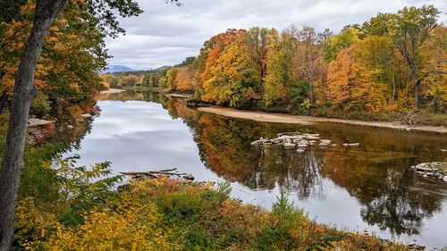 Scenic view of lake in forest during autumn