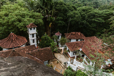 High angle view of houses and trees in village
