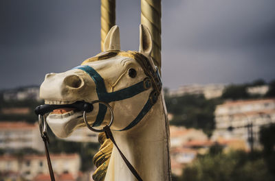 Close-up of carousel horse at amusement park
