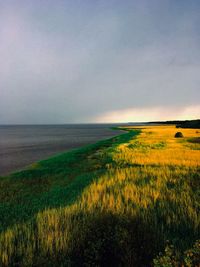Scenic view of field against sky
