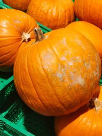 Close-up of pumpkin pumpkins