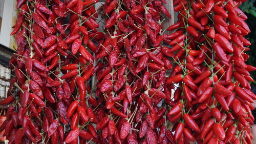 Full frame shot of red chili peppers for sale at market