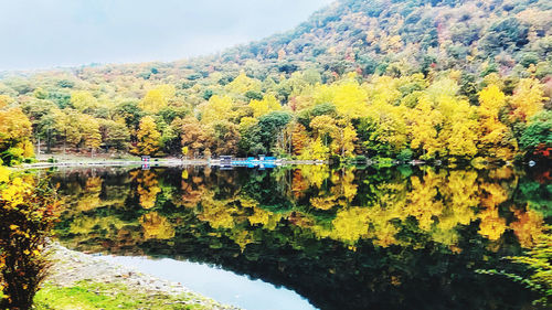 Scenic view of lake by trees during autumn