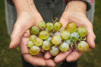 Close-up of hand holding fruits