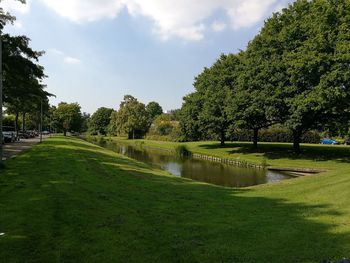 Scenic view of river amidst trees against sky