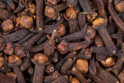Dried cloves are ready for food spices and cigarette mixers