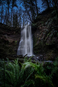 Scenic view of waterfall in forest