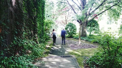 Rear view of woman walking on footpath