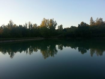 Reflection of trees in calm lake