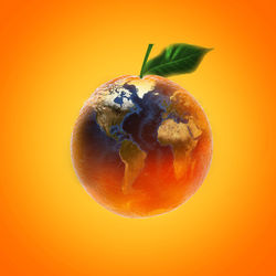 Close-up of apple against orange background