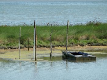 Scenic view of lake