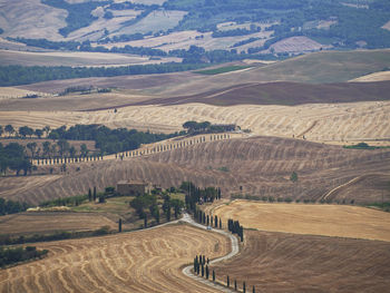 High angle view of agricultural field