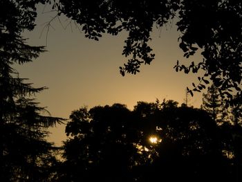 Low angle view of silhouette trees against sky at sunset