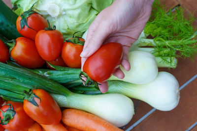 Close-up of hand holding vegetables