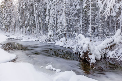 Snow covered field