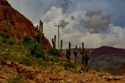 Panoramic view of landscape against sky