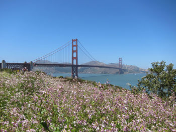 Golden gate bridge over sea against clear blue sky