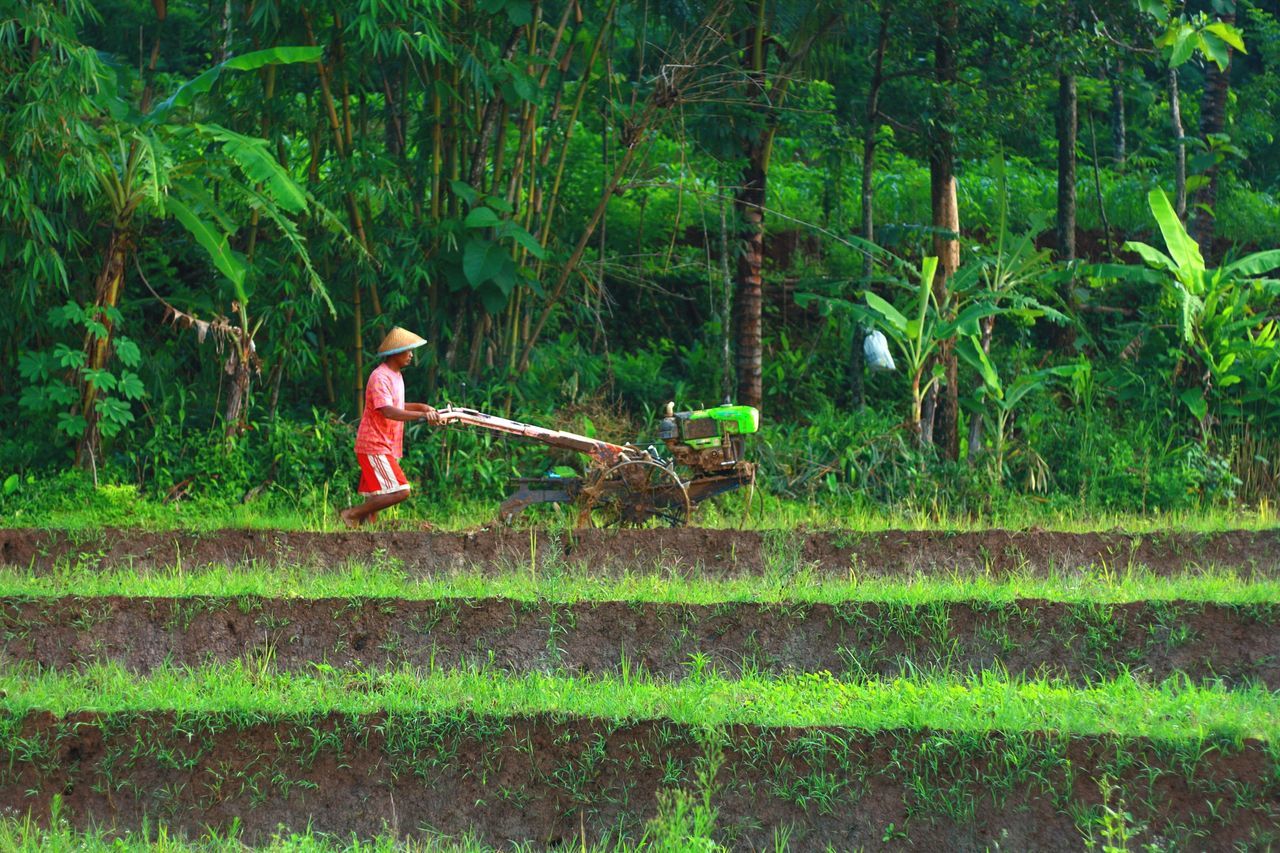 Dany Wijayanto